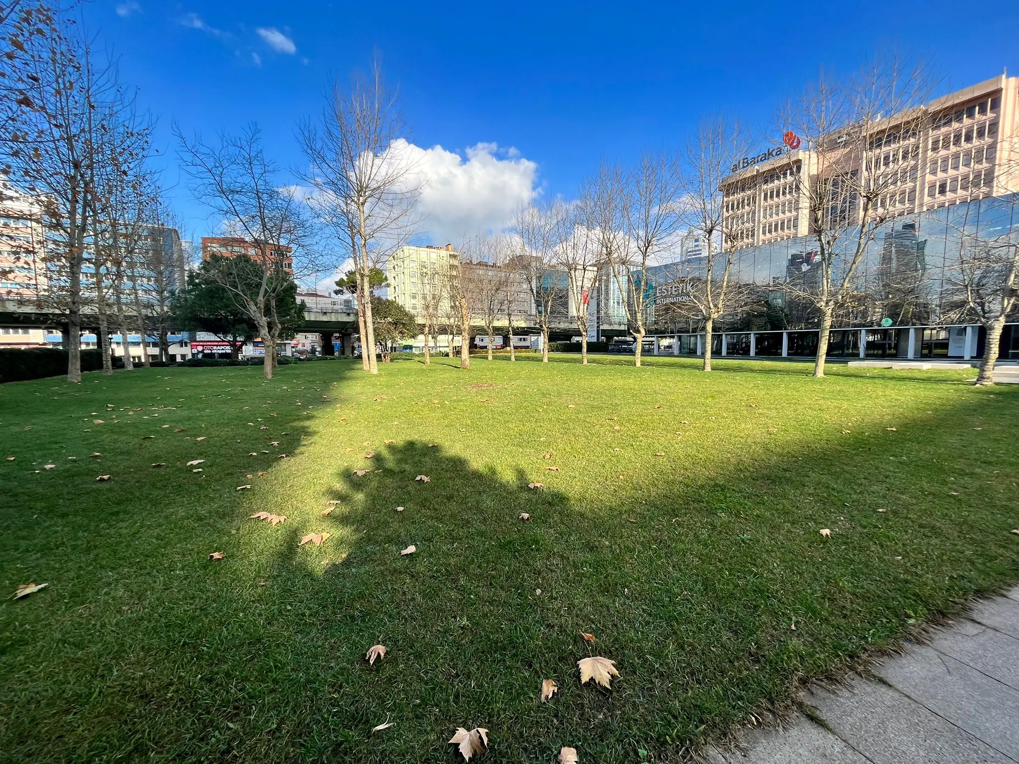 Garden area